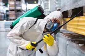 Best Fumigation Services  in Willow Springs, MO